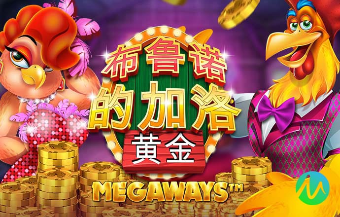 金贝体育app下载官网